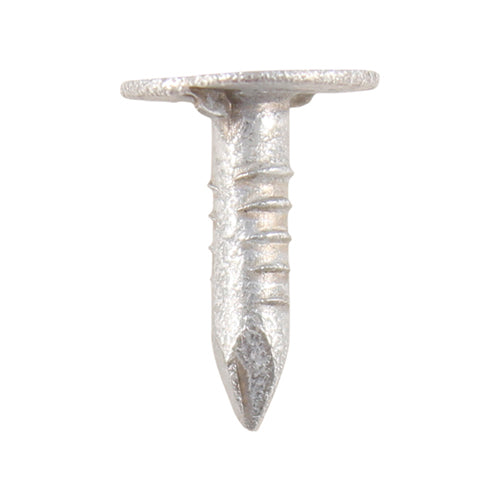 Extra Large Head (ELH) Galvanised Clout Nails